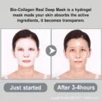 overnight face mask​
